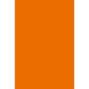 A. E. Nathan Costume Satin Orange Fabric, per Yard