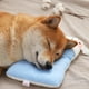 thumbnail image 2 of Almohada relajante para perros para un mejor descanso | Almohada suave para mascotas con soporte cervical | Lavable a máquina | 28 x 19 x 2 cm | Azul, gris o rosa, 2 of 7