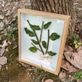 thumbnail image 3 of Wooden Dried Flower Photo Frame Dried Flower Display Stand Decorative Floating Photo Frame DIY Display Box, Suitable for Dried Flowers, Specimens, Handicrafts, Baby Souvenirs and Photos, 3 of 6