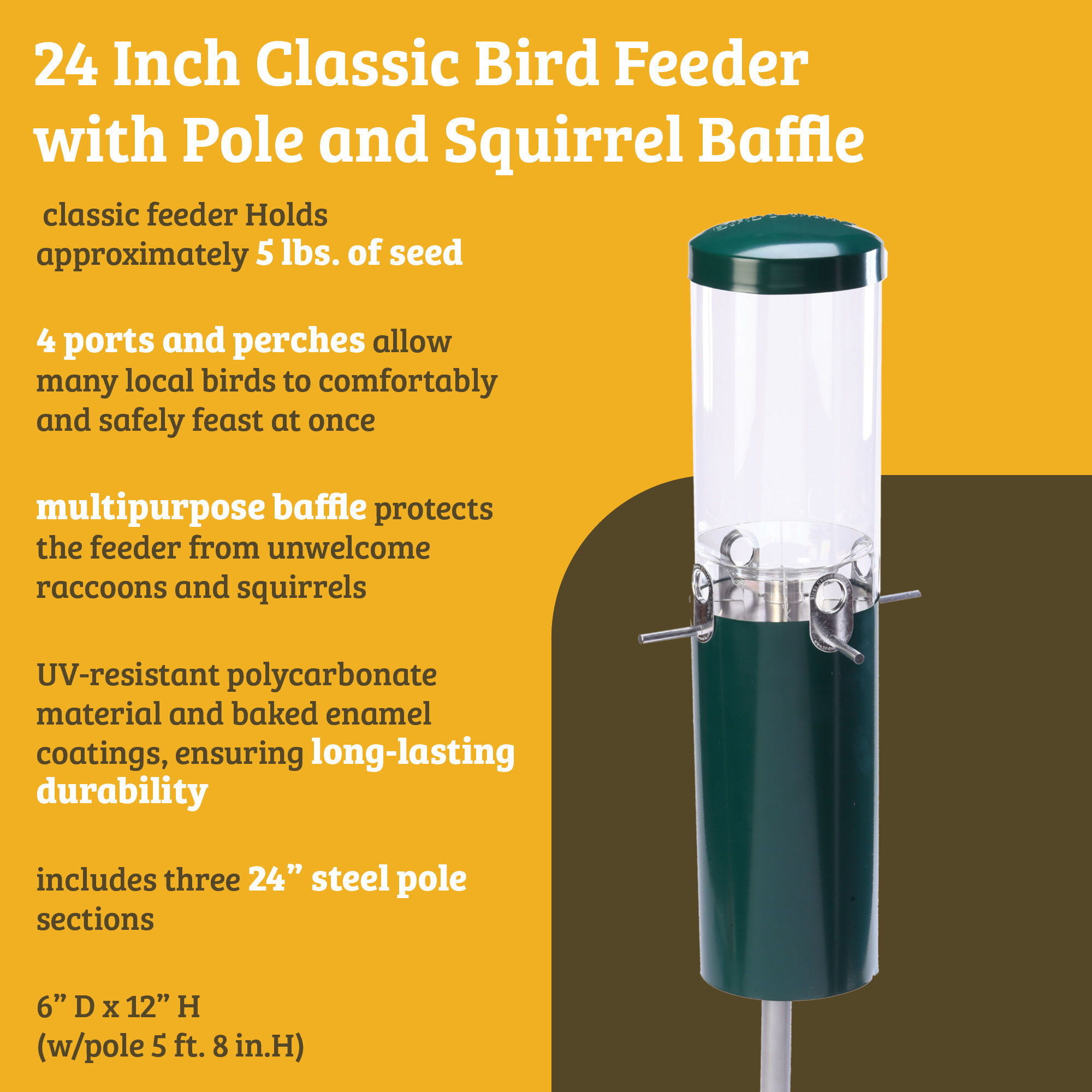 Birds Choice Squirrel Proof Bird Feeder with Pole and Squirrel Baffle, Green