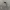 Camo, variant on ZHaobin New High Street Hip Hop Oversized Camo Hoodies Y2K Retro Hoodie Men Printed Camouflage Pattern Pullover Sweatshirts Streetwear (camo zipper,M)