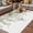 Sage Green, variant on Sage Green Eucalyptus Outdoor Rug for Patio/Deck/Porch, Non-Slip Large Area Rug 6 x 9 Ft, Summer Spring Weeping Leaves Botanical Indoor Outdoor Rugs Washable Area Rugs, Camping Rug Carpet Runner
