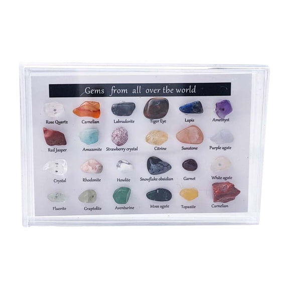 24PCS Natural Mineral Ore Collection - 24 Kinds Crystal Stones Geology Kit for Teaching & Collection