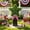 19", variant on 27" Patriotic Artificial Boxwood Star Topiary, UV Resistant Faux Plant Garden Stake for 4th of July,250th Anniversary Memorial Day & Independence Day Indoor Outdoor Decor