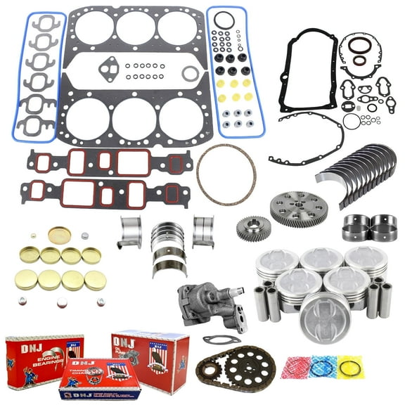 DNJ EK3128CM Master Engine Rebuild Kit Fits Cars & Trucks 1994-1995 Chevrolet GMC Astro C1500 C2500 G-Series Jimmy K1500 K2500 P30 P3500 S10 S10 Blazer Safari Sonoma 4.3L OHV V6 12V VIN Z