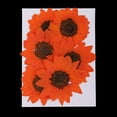 thumbnail image 4 of segolike 6x Pressed Dried Flower Embellishment DIY Decor Orange, 4 of 9