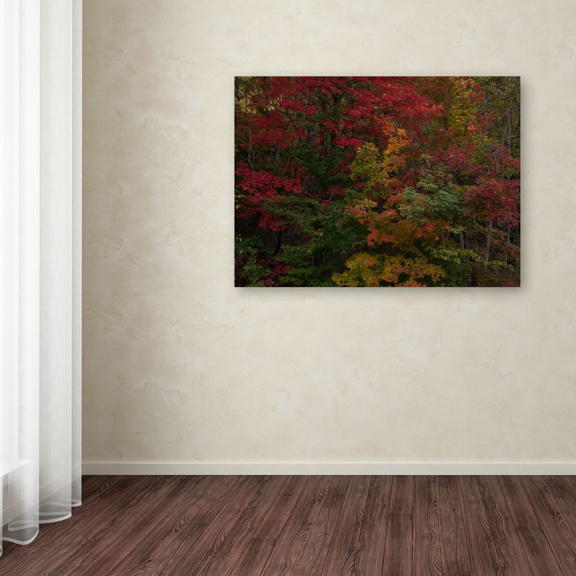 Trademark Fine Art "Why I Love Autumn" Canvas Art by Kurt Shaffer
