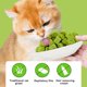 thumbnail image 4 of Snack de menta para gatos de 50 g, sabor natural a hierba gatera, snack saludable para gatos P7E8, 4 of 8
