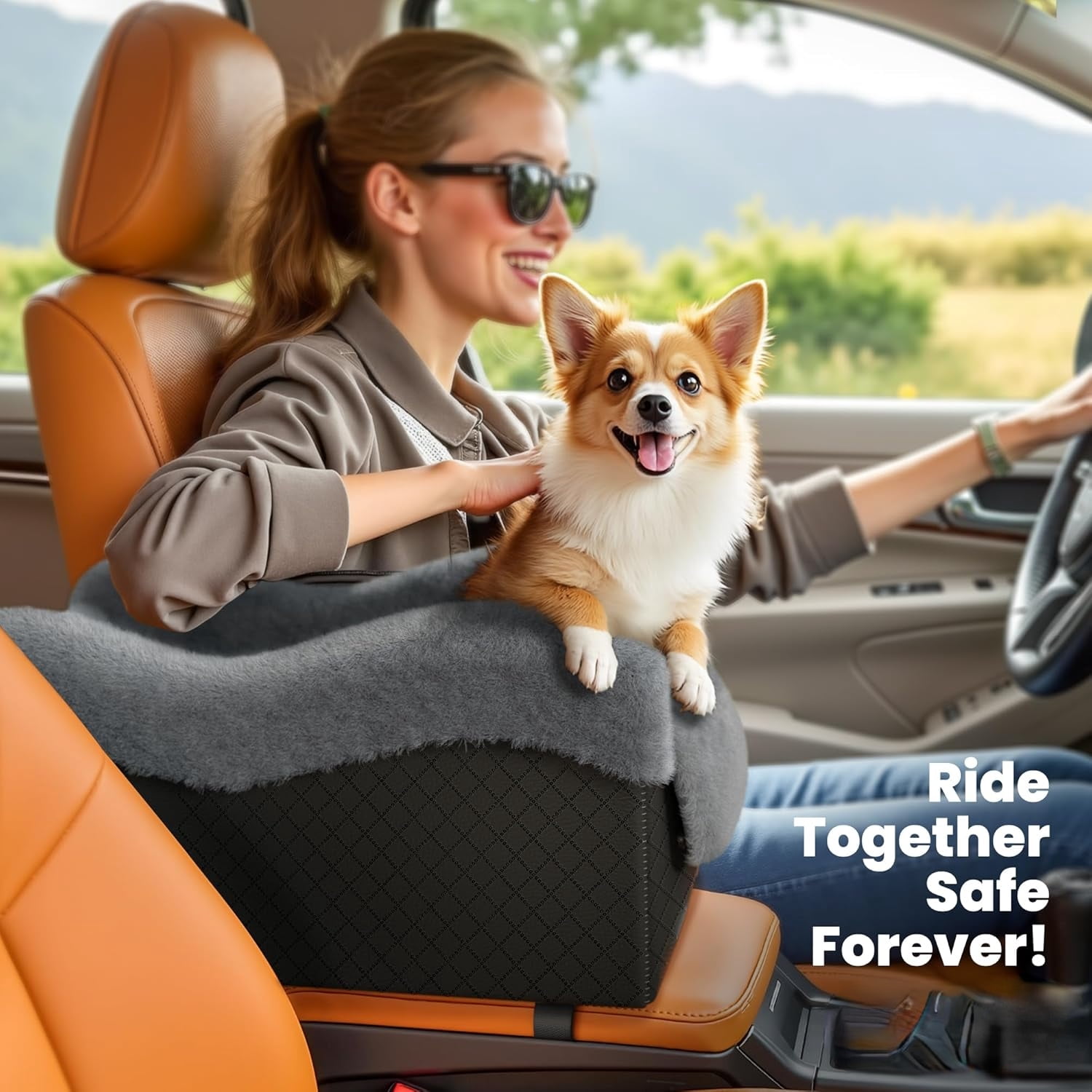 Portable Anti-Collapse Pet Travel Car Seat in Black and Grey for Small Dogs