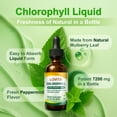 thumbnail image 3 of LOVITA Chlorophyll Liquid Drops 7200mg, High Concentration, Detoxifying, Skin & Immune Health, 2 fl oz, 3 of 11