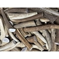 thumbnail image 2 of Elkhorn Premium Chews Medium whole (6-9” long) elk antler chew for 20-45 lb dogs (1 pack) all-natural premium-grade antler bone, sourced in the USA, 2 of 6