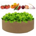 thumbnail image 1 of Bolsa de cultivo de 100 galones Yeacher engrosada, 1 of 7