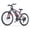 Victor 4.0-Black, variant on QNUT Victor 3.0 Electric Bike for Adults - 350W, 26 Inch, 21-Speed, 40 Mile Range,3 Modes, Smart LCD, Dual Disc Brakes, UL 2849 Certified Blue-White