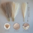 thumbnail image 5 of Faux Pampas Grass,18In/45Cm Artificial Grass 5 Stem Pompous Flower Arrangement for (Black), 5 of 6