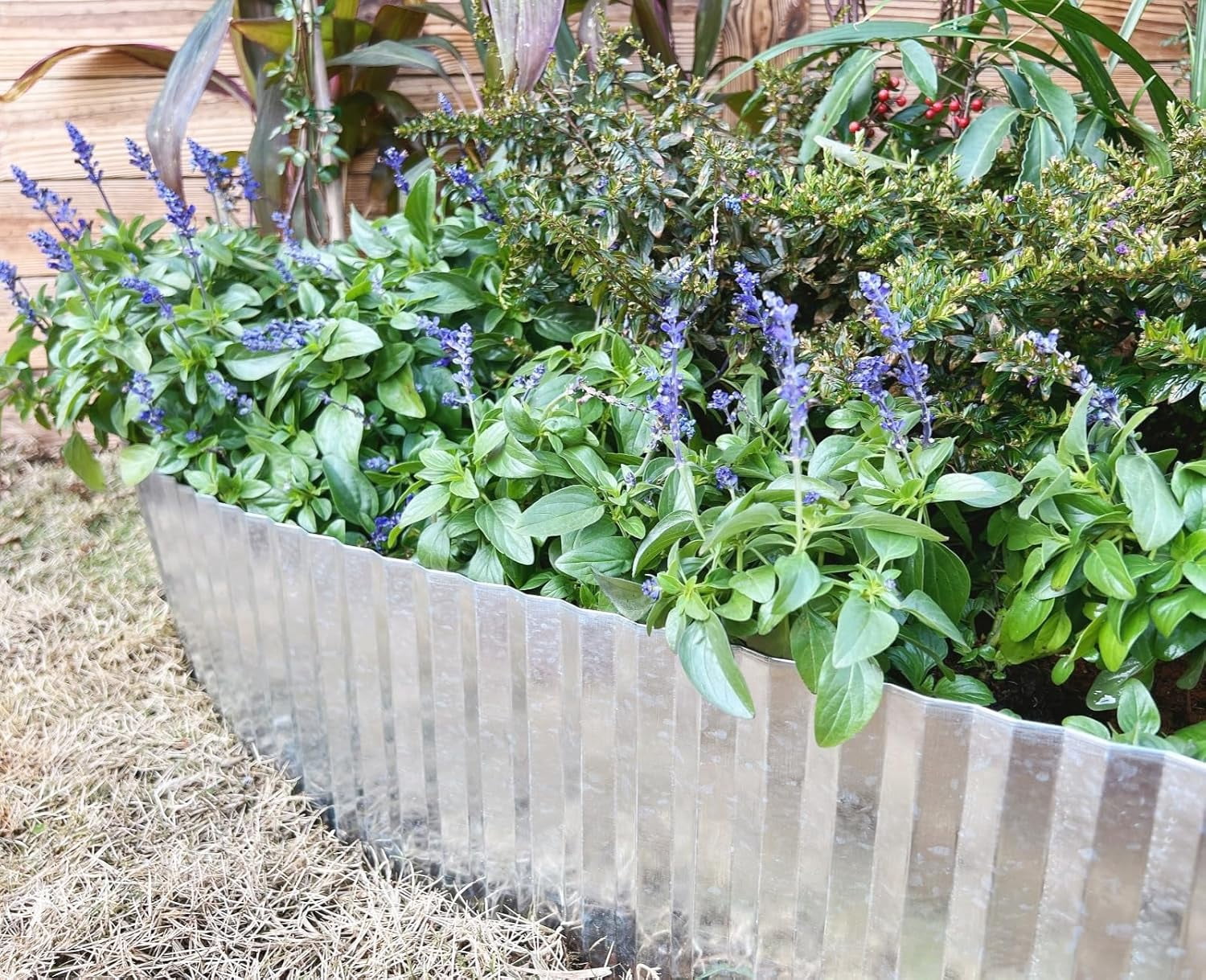 Tramull Corrugated Garden Edging Border,10" x 60' Landscape Paver Edging, Tall Landscape Edging, Fence for Garden, Flower Bed, Lawn and Landscape Edging (Silver)