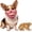 #C, variant on Scary Latex Dog Mask for Small Medium Dogs