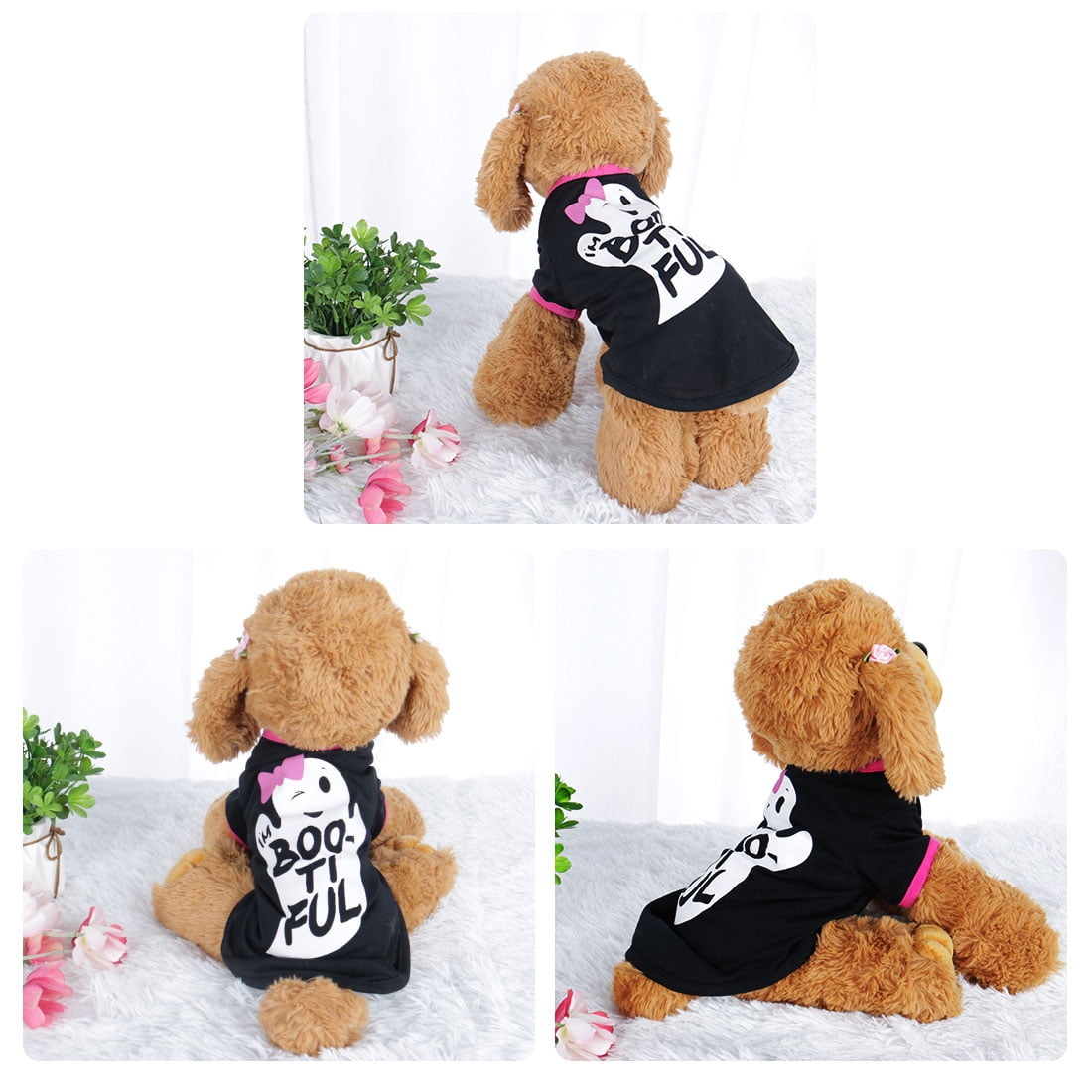 small pet clothes