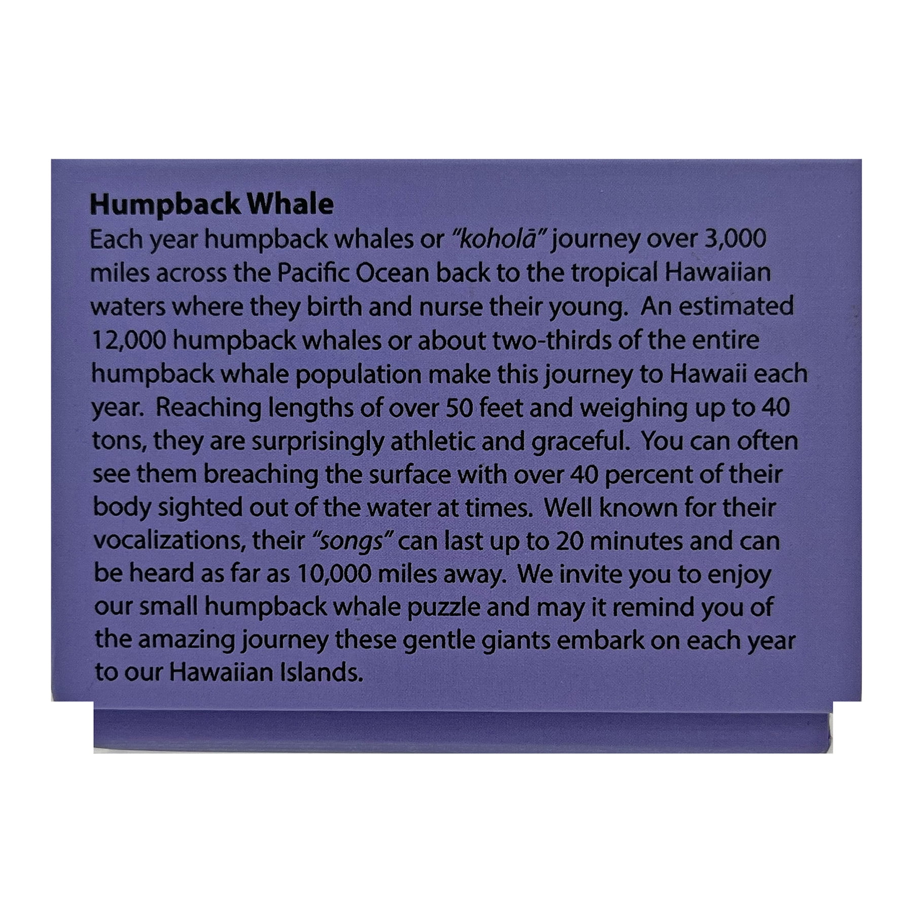 Hawaiian Collectible Wiki Wiki 20 Minute Whale Puzzle