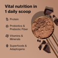 thumbnail image 3 of Proteína en polvo BODi Shakeology de origen vegetal sabor café latte 1,02 kg, 3 of 7