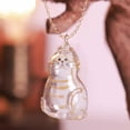 thumbnail image 4 of Collier Souvenir pour Poils de Chat - Boîte de Rangement Transparente, Mémorial Personnalisé pour Animaux, 4 of 7