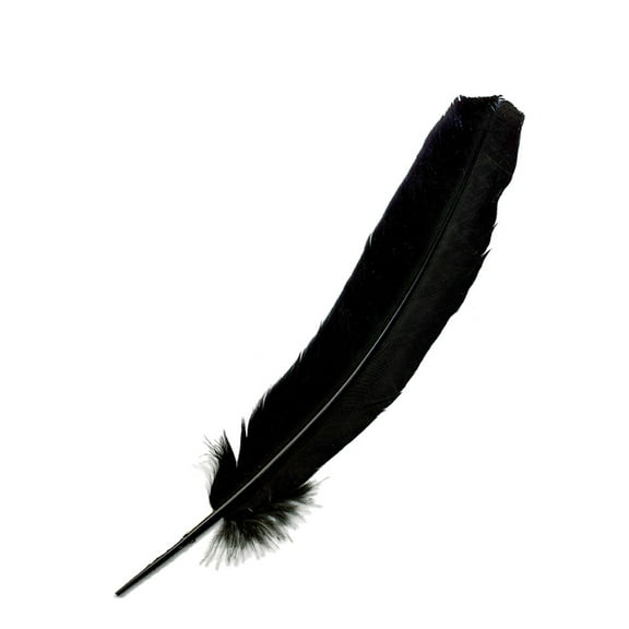 Zucker Feather Products Parried Turkey Quills Selected - 10-12" - 12 pcs - Black
