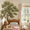 Extra Huge Maple Tree, variant on Extra Huge Pine Tree Wall Decals Peel and Stick PVC Art Decor