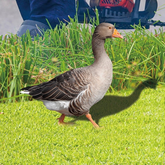 ULTNICE 2Pcs Lightweight Durable Acrylic Garden Duck Stakes Outdoor Yard Decoration for Patio