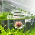 thumbnail image 3 of Transparent Aquarium Red Feeder Suction Cup Fish Feeding Cup Container Accessory Automatic Feeders Fish Feeder, 3 of 8