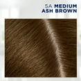 thumbnail image 4 of Clairol Root Touch-Up Nice'n Easy Permanent Hair Dye, 5A Medium Ash Brown, Hair Color, 1 Kt, 4 of 9