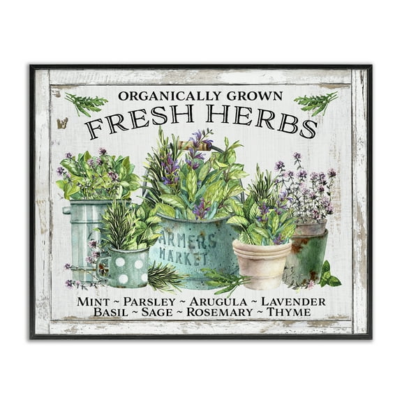 Stupell Industries Organic Fresh Herbs Plants & Flowers Painting Black Framed Art Print Wall Art, 14 x 11