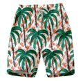 thumbnail image 1 of Pantalones cortos de playa informales con estampado Digital 3D para hombre, pantalones cortos de secado rápido a la moda para verano, parque de viajes, correr y deportes, natación Fivean unisex, 1 of 2