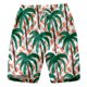 thumbnail image 1 of Pantalones cortos de playa informales con estampado Digital 3D para hombre, pantalones cortos de secado rápido a la moda para verano, parque de viajes, correr y deportes, natación Fivean unisex, 1 of 2