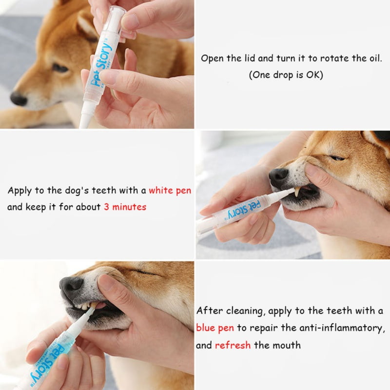 dog teeth cleaning kit