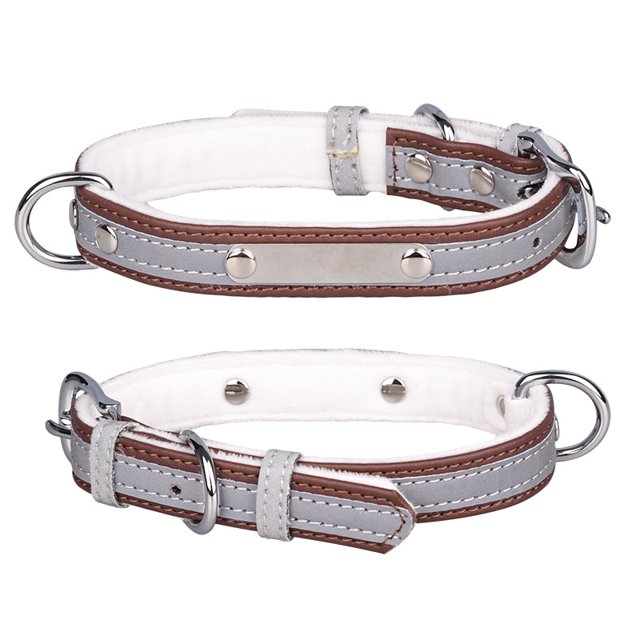 Collier pour Chien Laisse pour Chien Réfléchissante Plaque en Acier Inoxydable Lettrage Lumineux Collier pour Animal Marron/x