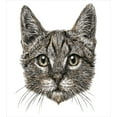 thumbnail image 3 of Animal Decor King Size Duvet Cover Set, Cute Little Chubby Cat Head Looking Innocently with Long Whiskers Sketchy Like Art, Decorative 3 Piece Bedding Set with 2 Pillow Shams, Grey, by Ambesonne, 3 of 3