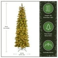 thumbnail image 6 of National Tree Company 9 ft. Pre-Lit Carolina Pine Slim Artificial Christmas Tree with 800 Clear Lights, Slim Profile, 6 of 10