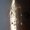Moon, variant on Crystal Sun Catcher Bohemian Star Moon Rainbow Maker Wind Chime Hanging Decor