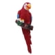 thumbnail image 4 of Simulación Loro Sharpla escultura colgante de pared guacamayo resina decoración Rojo 1, 4 of 7