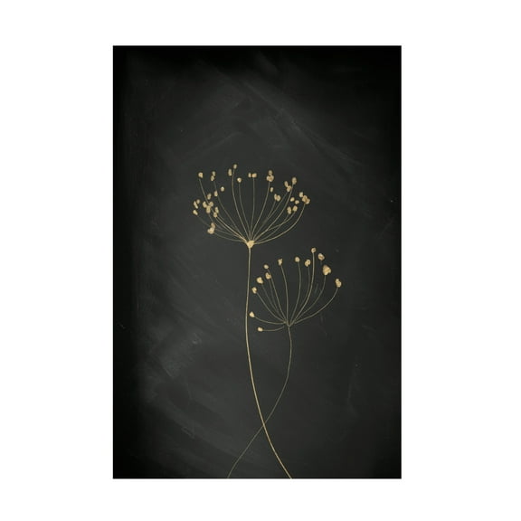 Trademark Fine Art Aureous Black Gold Botanical No 2 Canvas Wall Art