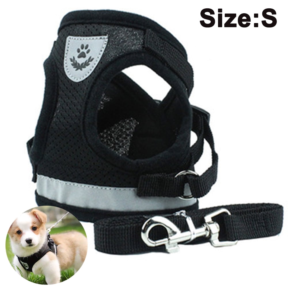 how to put on a dog harness from walmart