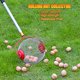 thumbnail image 5 of Recolector de Frutas y Nueces con Mango Telescópico y Bola Expandible - Ideal para Recolectar Manzanas, Nueces, Pelotas de Golf y Más, Fácil de Usar para Adultos y Niños, 5 of 6