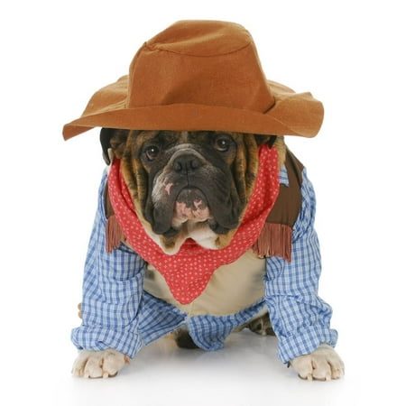 Dog Dressed Up Like a Cowboy Print Wall Art By Willee Cole