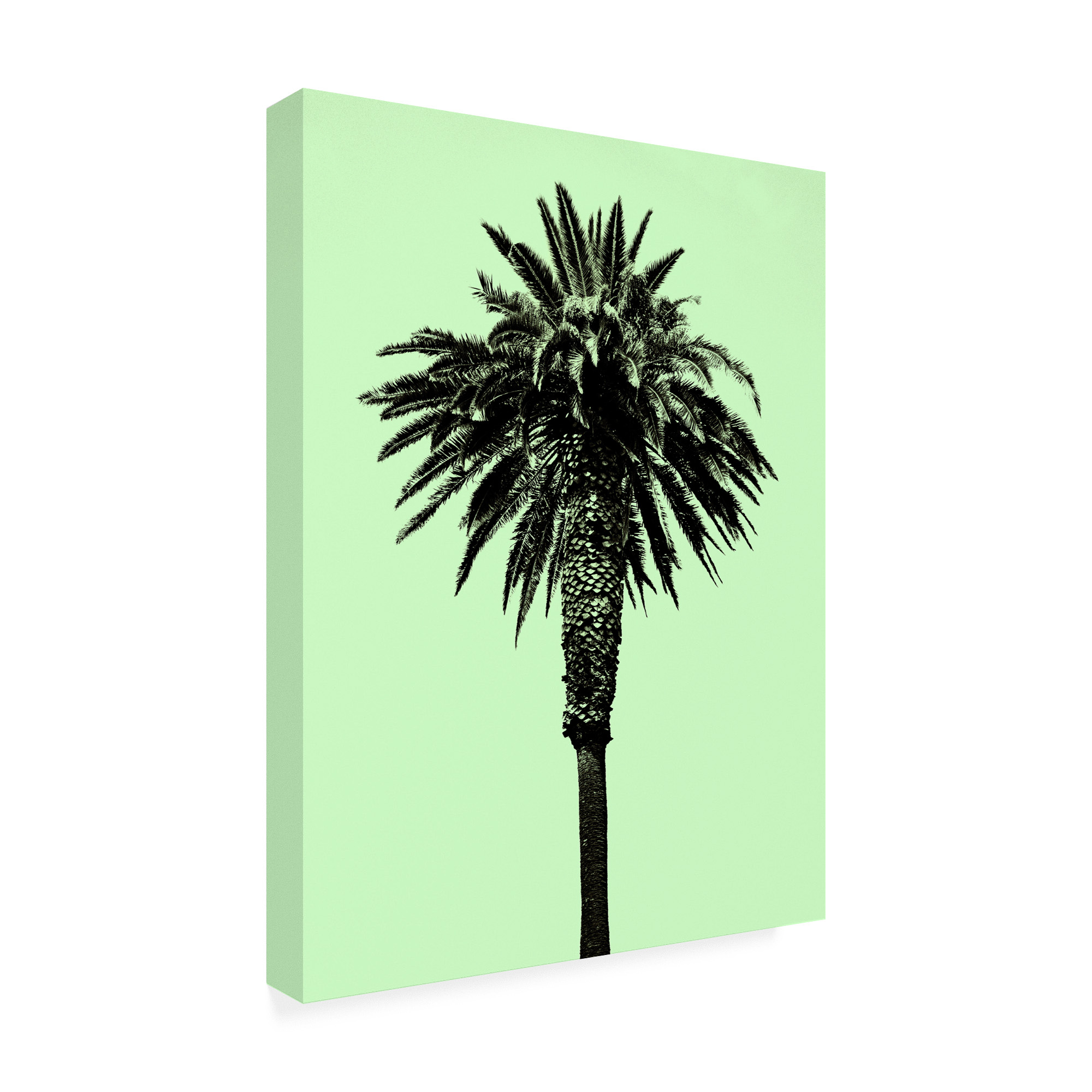 Trademark Fine Art 'Palm Tree 1996 (Green)' Canvas Art by Erik Asl