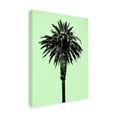 thumbnail image 2 of Trademark Fine Art 'Palm Tree 1996 (Green)' Canvas Art by Erik Asl, 2 of 3