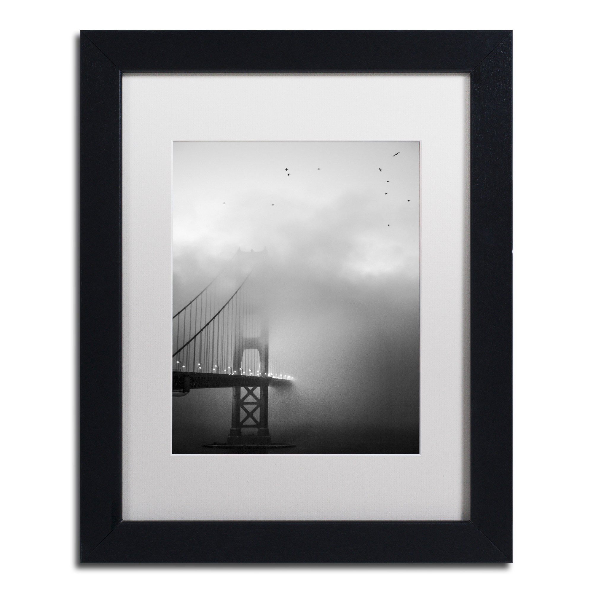 Trademark Fine Art "Golden Gate and Birds" Canvas Art by Moises Levy White Matte, Black Frame