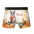 thumbnail image 2 of Happy Thanksgiving Boston Terrier with Turkey Pumpkins Autumn Vibes All Over Print Boxer Briefs Underwear for Men Dad Gentleman Dog Lover Gifts - 12018, 2 of 6