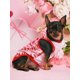 thumbnail image 3 of PETSIN Petsin Pink Heart Print Romantic Gradient Color Pet Cat & Dog Vest, 3 of 5
