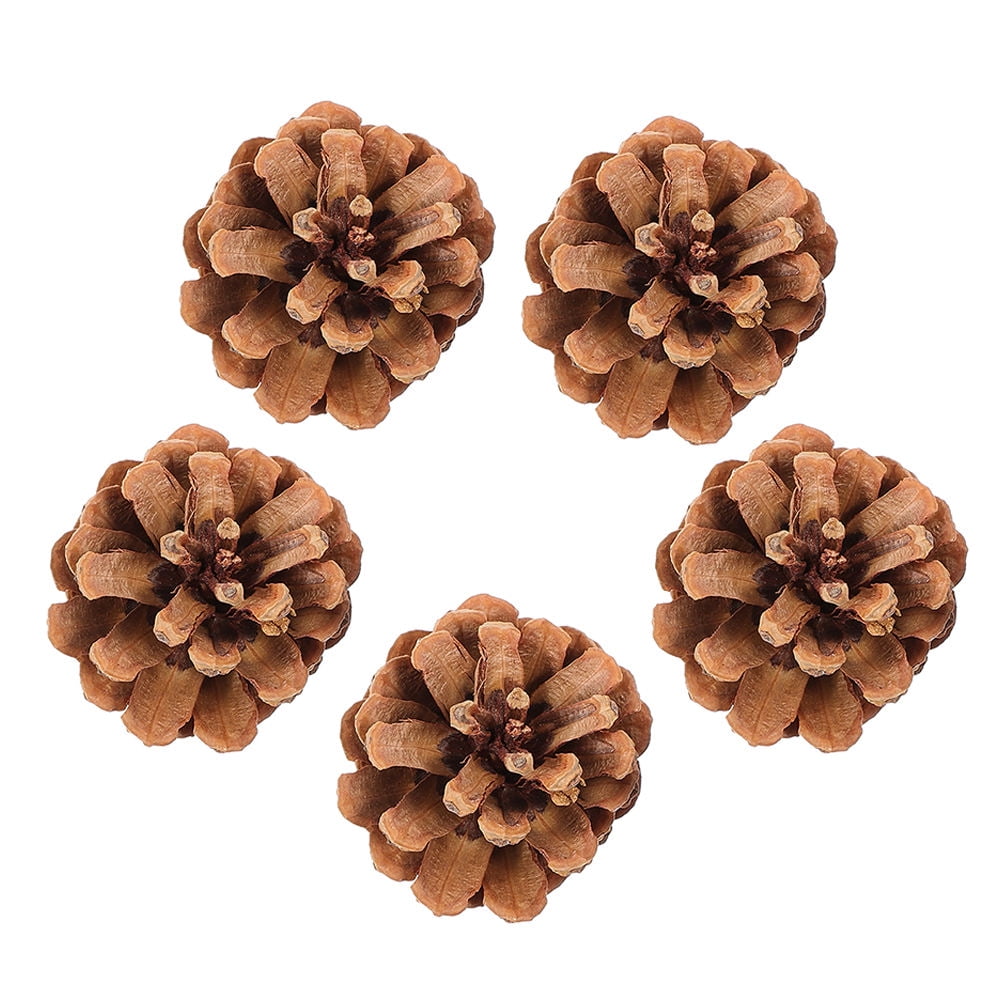 BESTYASH 5Pcs Coffee Color Pine Cone Bird Chewing Toys Practical Parrot Cage Accessory