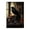 Unframe-style, variant on Raven Crow Print Victorian Gothic Canvas Art Poster and Wall Art Picture Print Modern Family bedroom Decor Posters 16x24inch(40x60cm)