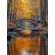 thumbnail image 1 of Qisvanset 12x16 Inch Golden Foliage Autumn Bridge Canvas Wall Art, Stone Bridge Reflection Rustic Decor, 1 of 8